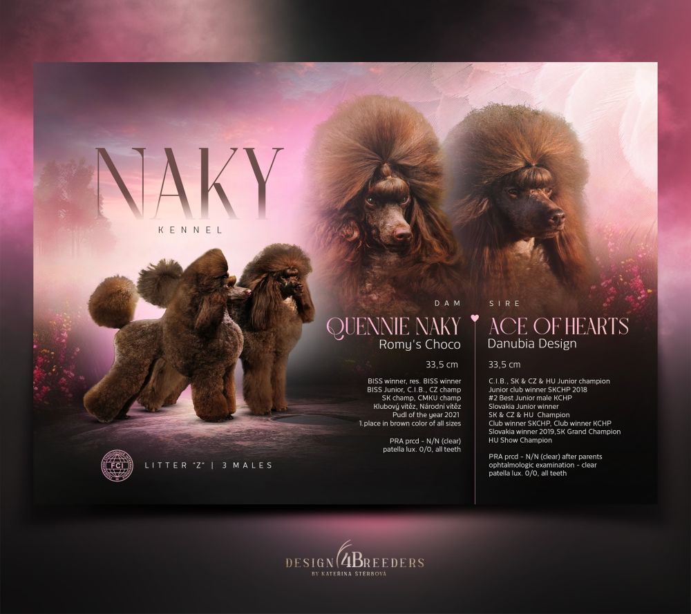Naky vrh prezentace small
